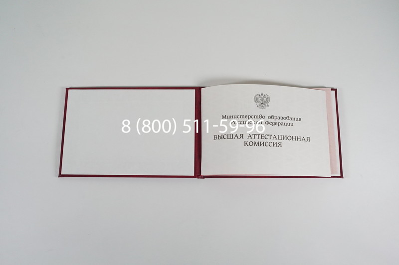 Диплом доктора наук 1995-2006 года в Сызрани Диплом доктора наук 1995-2006 года в Сызрани