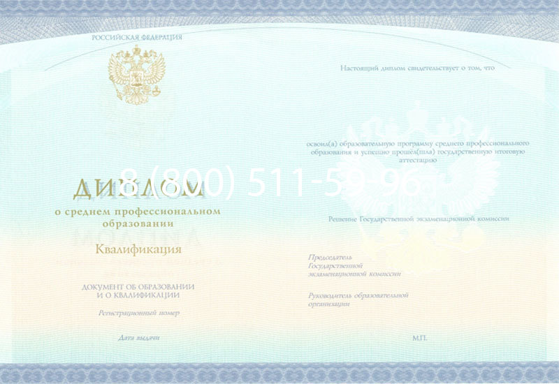 Купить Диплом колледжа (Спецбланк) 2014-2024 года в Сызрани Купить Диплом колледжа (Спецбланк) 2014-2024 года в Сызрани