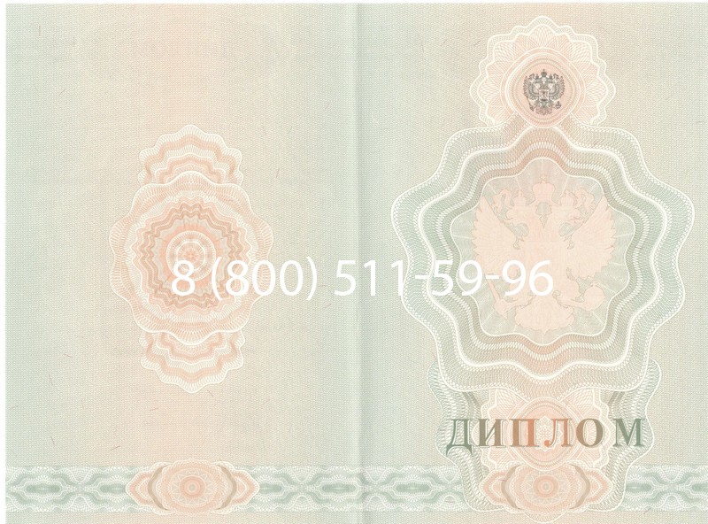 Купить Диплом училища 2007-2009 годов в Сызрани